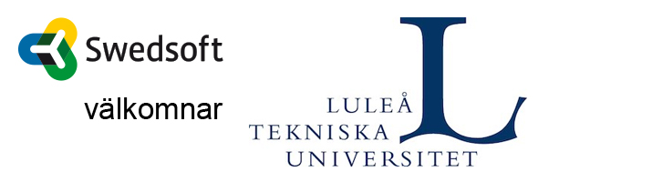 Luleå tekniska universitet